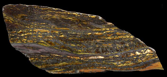 Polished Tiger Iron Stromatolite - ( Billion Years) #46611